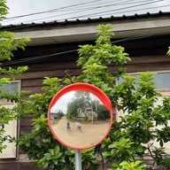 โฮมสเตย์บ้านนาต้นจั่น