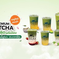 โนบิชา Nobicha เมเจอร์ปิ่นเกล้า Major-Pinklao