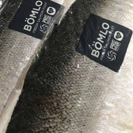 Salmon 651 พัฒนาการ51