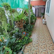 บรรยากาศ ไก่ย่างระเบียบ เขาสวนกวาง ในเมือง