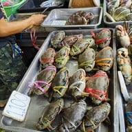 ปูนึ่ง ( น้องอีฟ )