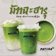 Matcha Haru มัทฉะฮารุ