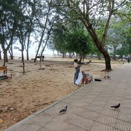 บรรยากาศ หาดสมิหลา Samila Beach