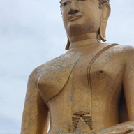 วัดพิกุลทอง