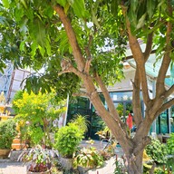 บรรยากาศ ร้านครัวบ้านช้าง -