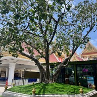 วัดนิมมานรดี