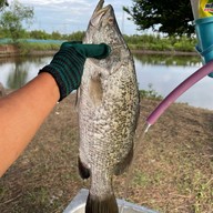 ครัวบ้านทุ่ง สถานี บ้านนาขวาง(ผัดไทย,หอยทอด,ข้าว,ยำ,ตำ,เตี๋ยว)