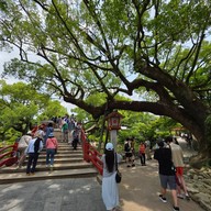 บรรยากาศ Dazaifu Tenmangu