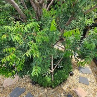 บรรยากาศ homerun homerun