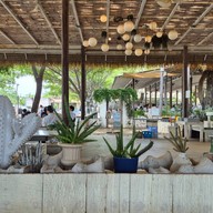 Afternoon บางปู