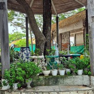 Afternoon บางปู