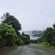 บรรยากาศ Tree Cups Phang Nga Coffee
