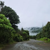 บรรยากาศ Tree Cups Phang Nga Coffee