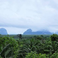 บรรยากาศ Tree Cups Phang Nga Coffee