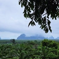 บรรยากาศ Tree Cups Phang Nga Coffee