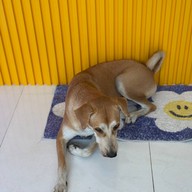 บรรยากาศ Milemily closet studio ตลาดขายส่งต้นไม้พระเงิน ซอย2