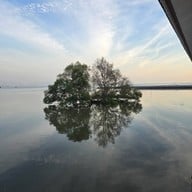 วัดหงษ์ทอง ฉะเชิงเทรา