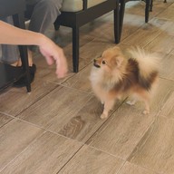 Aden Farm Coffee เอเดน ฟาร์ม คอฟฟี่