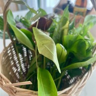 เมนูของร้าน ขนมจีนภูเก็จ บ้านอาม่า ลาดพร้าววังหิน 49