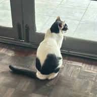 Mitte Coffee, Cafe & Friends เมืองทองธานี