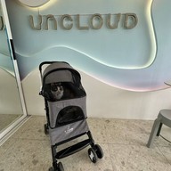Uncloud -