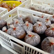 ร้านข้าวแกงเจ๊กปุ้ย (เจ้เฉีย)