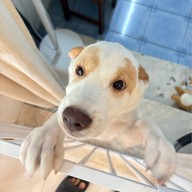 Orenchi Specialty Coffee ศาลายา