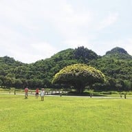 บรรยากาศ The Village Farm To Cafe’