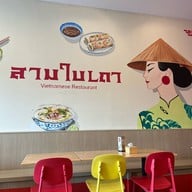 Sambaithao สามใบเถา ราชพฤกษ์