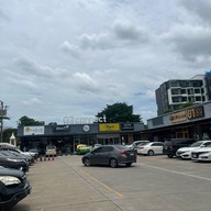 Sambaithao สามใบเถา ราชพฤกษ์