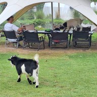 Blink Me Bunny Cafe' & Bistro -