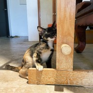 All Hotels SIWALAI Hill Villa [ a typical bungalow-style resort ] located in Nong Prue, Kanchanaburi province.