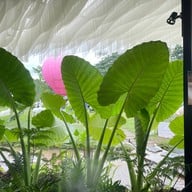 Blink Me Bunny Cafe' & Bistro -