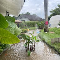 Blink Me Bunny Cafe' & Bistro -