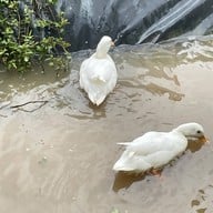 Blink Me Bunny Cafe' & Bistro -