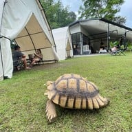 Blink Me Bunny Cafe' & Bistro -