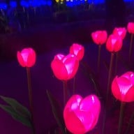 อ่างเก็บน้ำดอกกราย