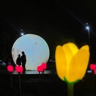 อ่างเก็บน้ำดอกกราย