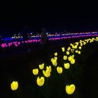 อ่างเก็บน้ำดอกกราย