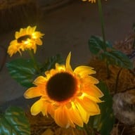 อ่างเก็บน้ำดอกกราย