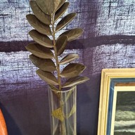 Wonders Roasters พระราม 9 เสรี 9