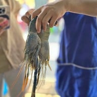 จุ้งบริการ 1 (เฮียคุง)