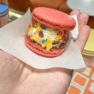 SOURI Paragon Take home