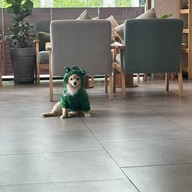 Arvo Café Arvo Café