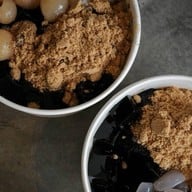 เจ้ง้อเฉาก๊วย100ปี สุราษฎร์ธานี