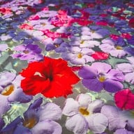 บ้านนอกคอกนา