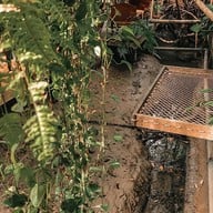 Hidden Tree Garden Specialty Coffee & Matcha