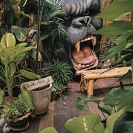 Hidden Tree Garden Specialty Coffee & Matcha