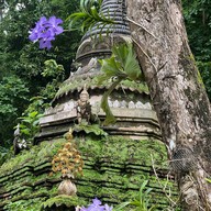 วัดผาลาด