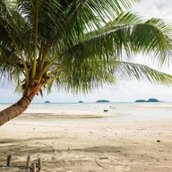 เซ็นทาราเกาะช้างทรอปิคานารีสอร์ท